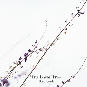 Fruit Is Year Three