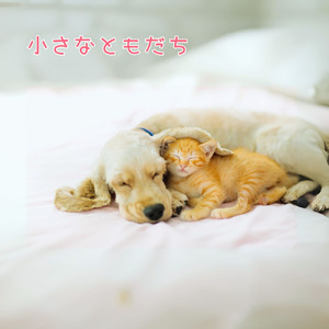 小さなともだち