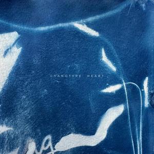 cyanotype heart