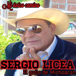 Mi Terruño