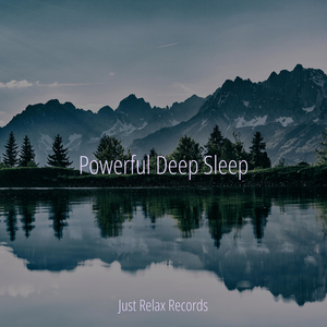 Gliding Echoes Above Still Waters