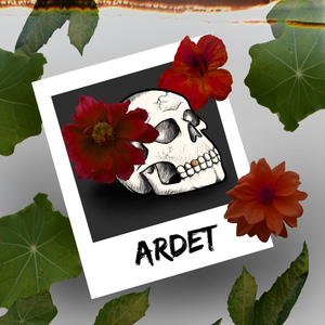 When I Cross That Line