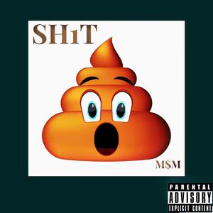 SH1T