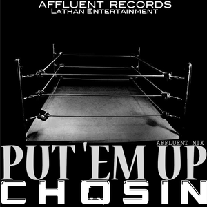 Put 'Em Up (Affluent Mix)