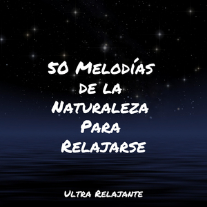 Reflexionando Sobre Estanques