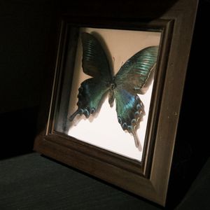 一切Belief（Prod By FireX）