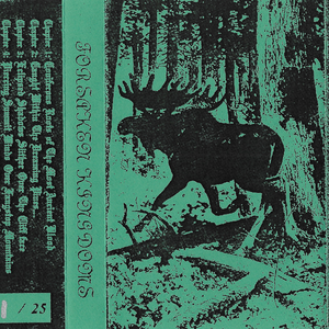 Piercing Summit Winds Over Fangstop Mountains