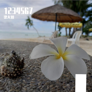 最想环游的世界