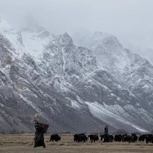 千年的风-谁说猫妖不吃鱼