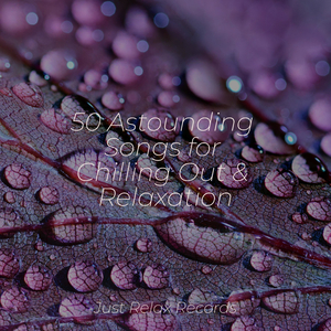 Lone Symphony in Silence