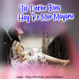 TOL DEKHE BINA HAY RE MOR MAYARU