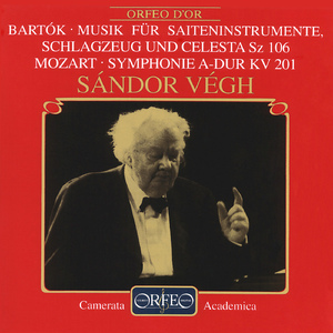 Symphony No. 29 in A Major, K. 201:I. Allegro moderato