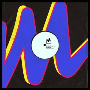Needing You (Extended Mix)