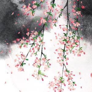 【桃花债系列】诛仙台上寻自在