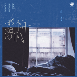 我不再想你了 (伴奏版)