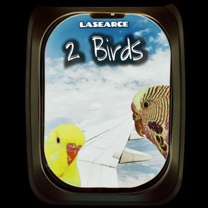 2 Birds