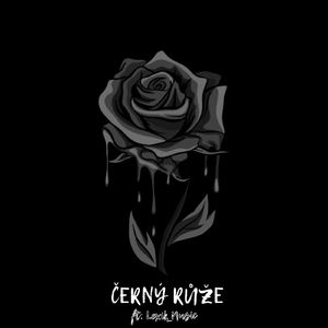 černý růže