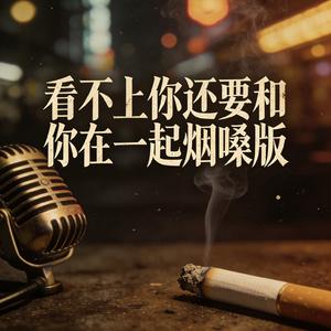 看不上你还要和你在一起烟嗓版.mp3