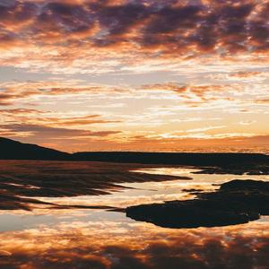 Somebody That I Used to Know (feat. Olivia Corbett Joyce)