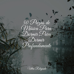 Amanecer en La Arenosa Playa