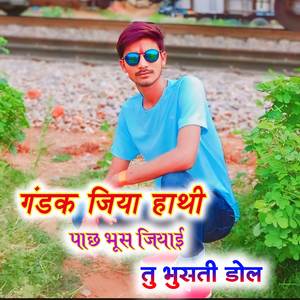 गंडक जिया हाथी पाछ भूस जियाई तु भुसती डोल