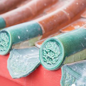 轻舞曲 (古筝+鸟声)