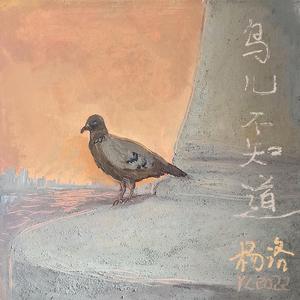 鸟儿不知道