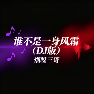 谁不是一身风霜(DJ版)