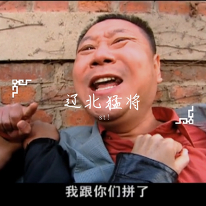 辽北第一狠人儿