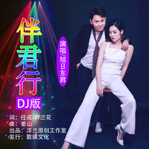 伴君行（DJ版）