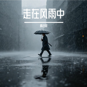 走在风雨中