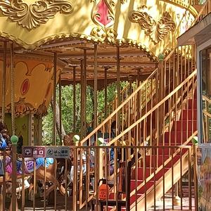 安全着陆 / 法老-个人简介+百变酒精（remix）（豪豪好困 remix）