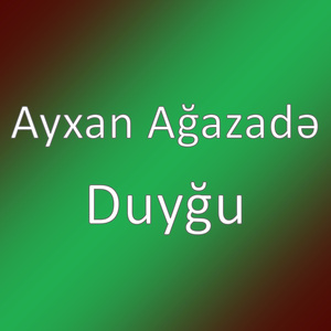 Duyğu