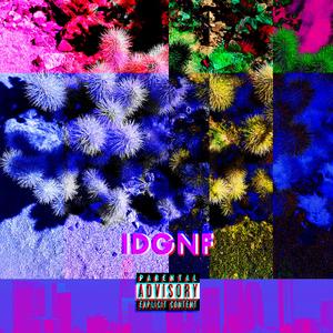 IDGNF