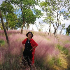 何时拥你入怀中