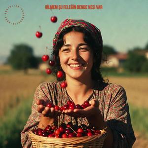 Bilmem Şu Feleğin Bende Nesi Var