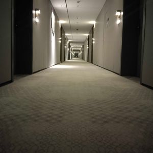 pool road in forest with dream.wav