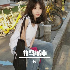 毛不易--牧马城市（小7 remix）
