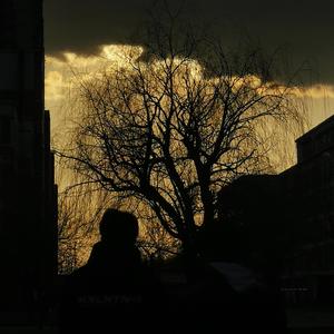 mmexport1648971036967_2022-04-03_153115