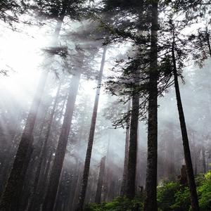 往日时光 - 输出 - Stereo Out