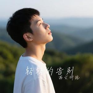 轻轻的告别