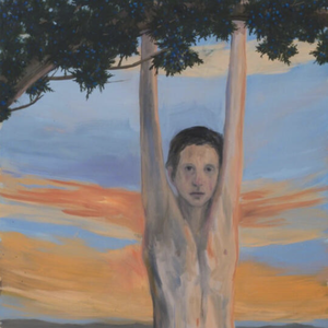 少年维特之烦恼