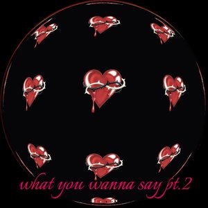 what you wanna say pt.2