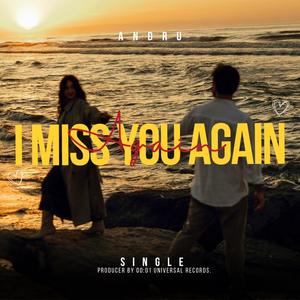 I Miss You Again