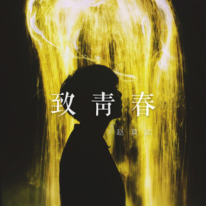 致青春（Cover 王菲）