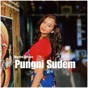 Pungni Sudem
