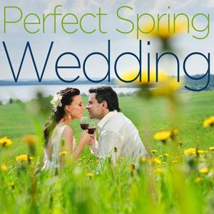 Here Comes the Bride