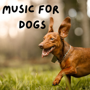 Dog Calming Music