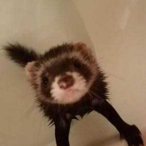 Vì Yêu Cứ Đâm Đầu - HiếuK (Remix)