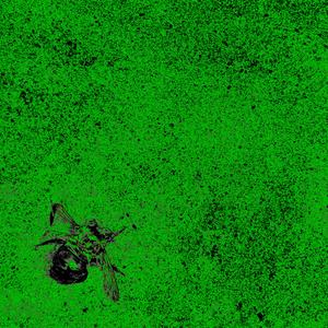 השקט מדבר בשמו